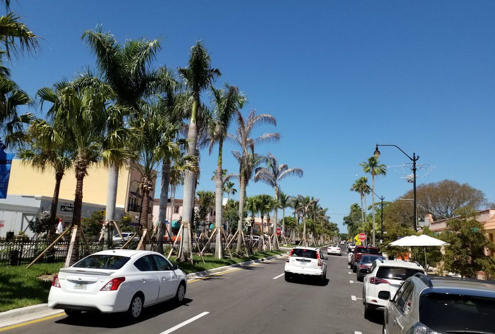 Discovering Venice, Florida: Beaches, History, and Shark Teeth