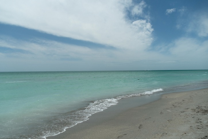 Venice Beach, Florida: A doorway to endless adventures and scenic beauty.