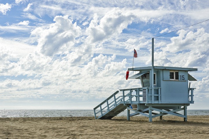 Discover the diverse beauty of Venice, Florida's beaches, from shark tooth hunting at Caspersen to the pet-friendly shores of Brohard Beach.