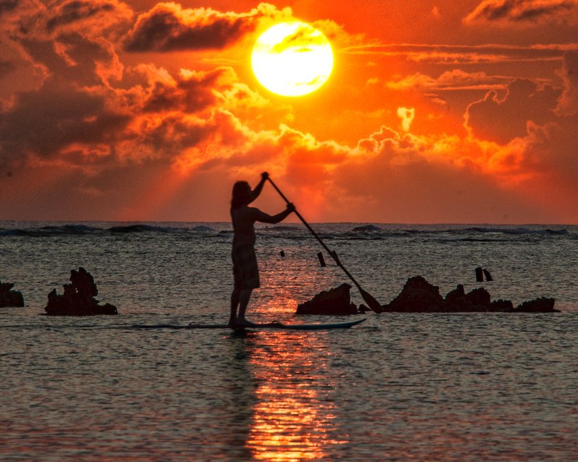 Paddleboarding in Paradise: A Complete Beginner’s Guide to Venice, Florida