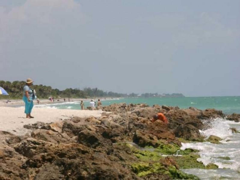 Caspersen Beach: Discover one of Venice's prime paddleboarding destinations.