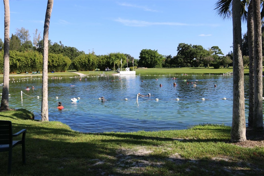 Discover the hidden gem of North Port, Florida: the enchanting Warm Mineral Springs.