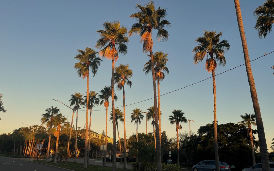 Unveiling the Wonders of Downtown Venice: Hidden Fairy Doors and More!