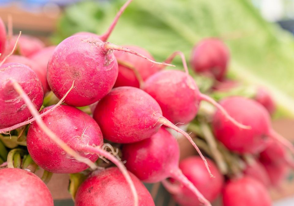 The Venice Farmers Market Experience: From Fresh Bread to Live Beats