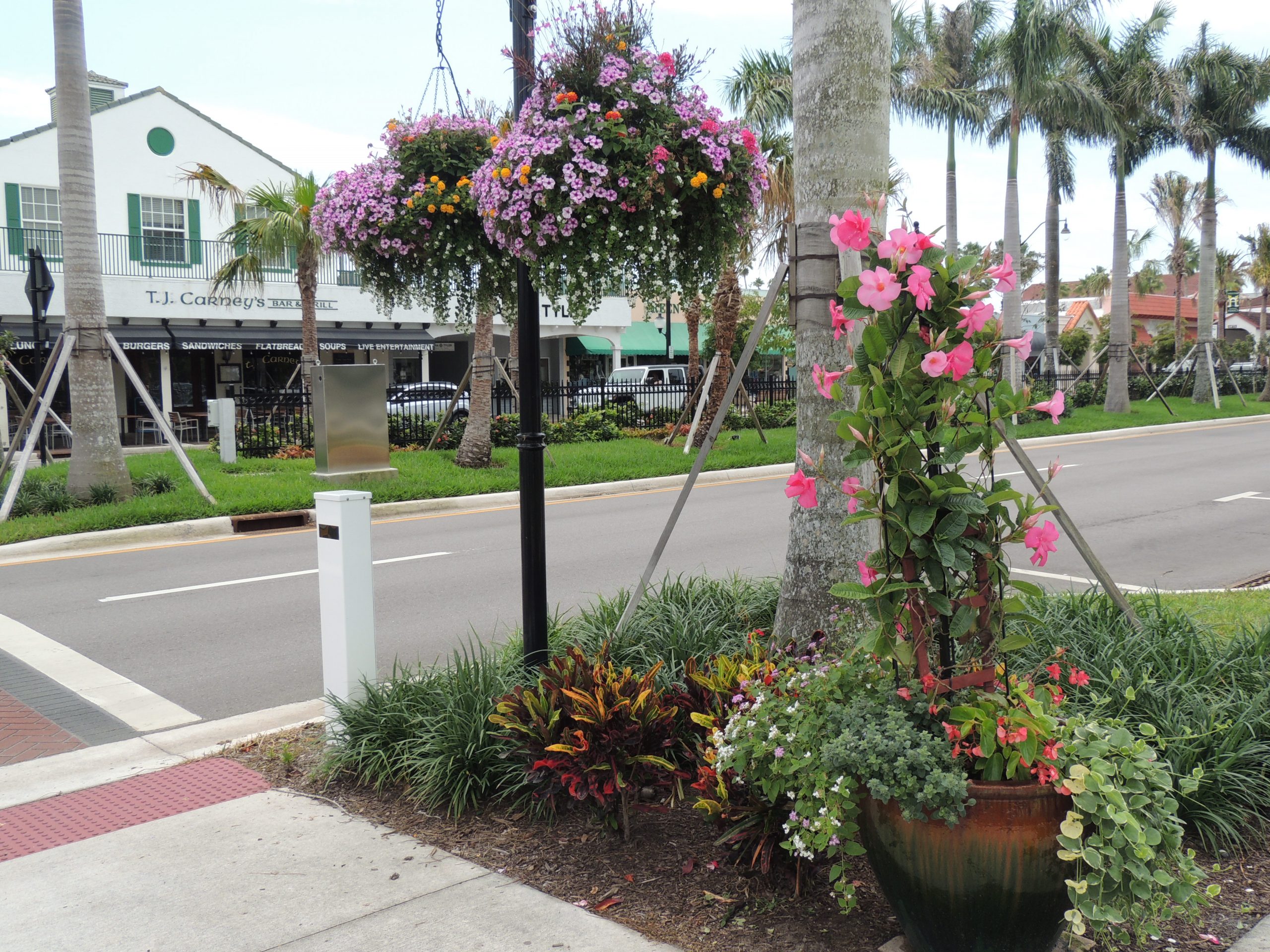 Exploring the unique architectural marvels along the distinct avenues of Downtown Venice.