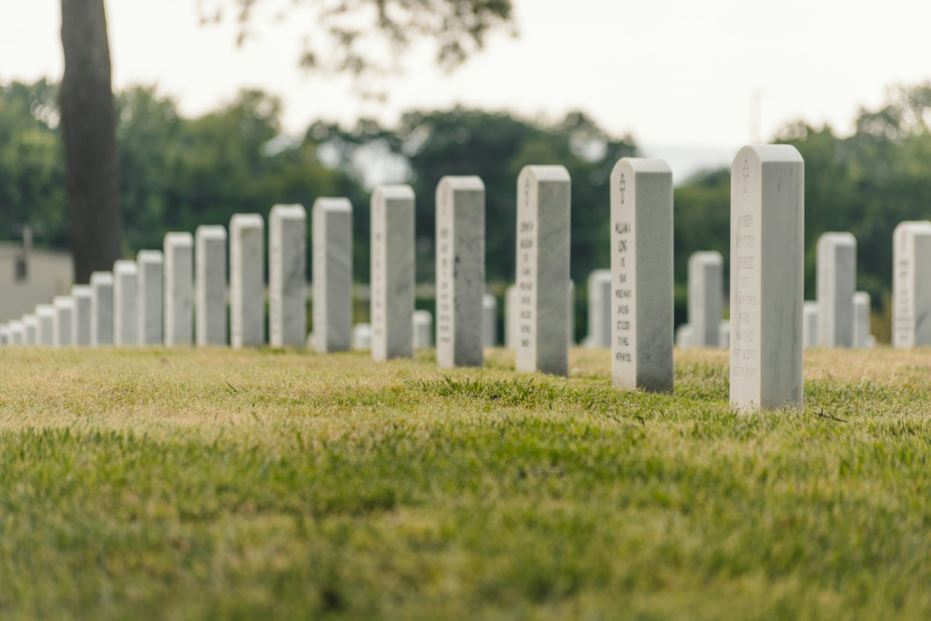Experience Memorial Day 2025 in Venice Florida with Picnics, Cookouts, and Local Traditions