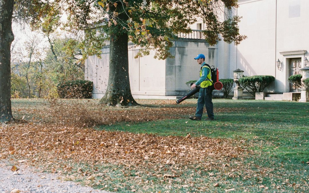 The Must-Do Home Maintenance Jobs in Venice to Keep Your Property in Great Condition