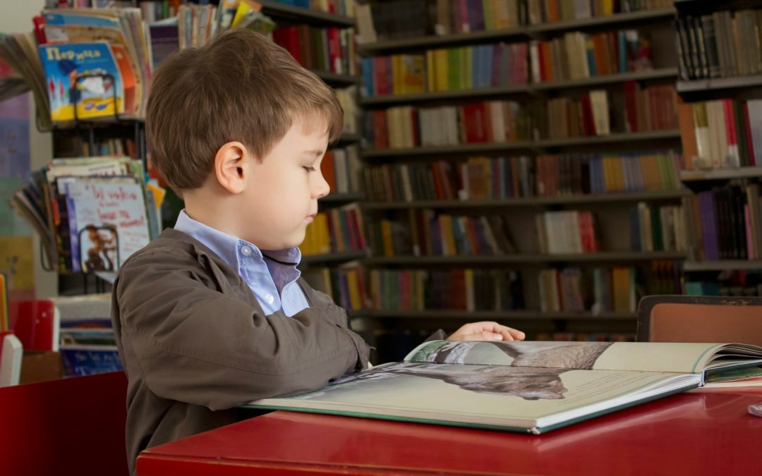 Smart Summer Moves for Students: Explore SLA’s Reading and Math Plans in Venice, Florida