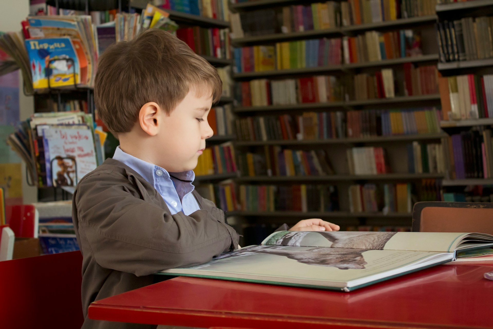 Smart Summer Moves for Students: Explore SLA’s Reading and Math Plans in Venice Florida