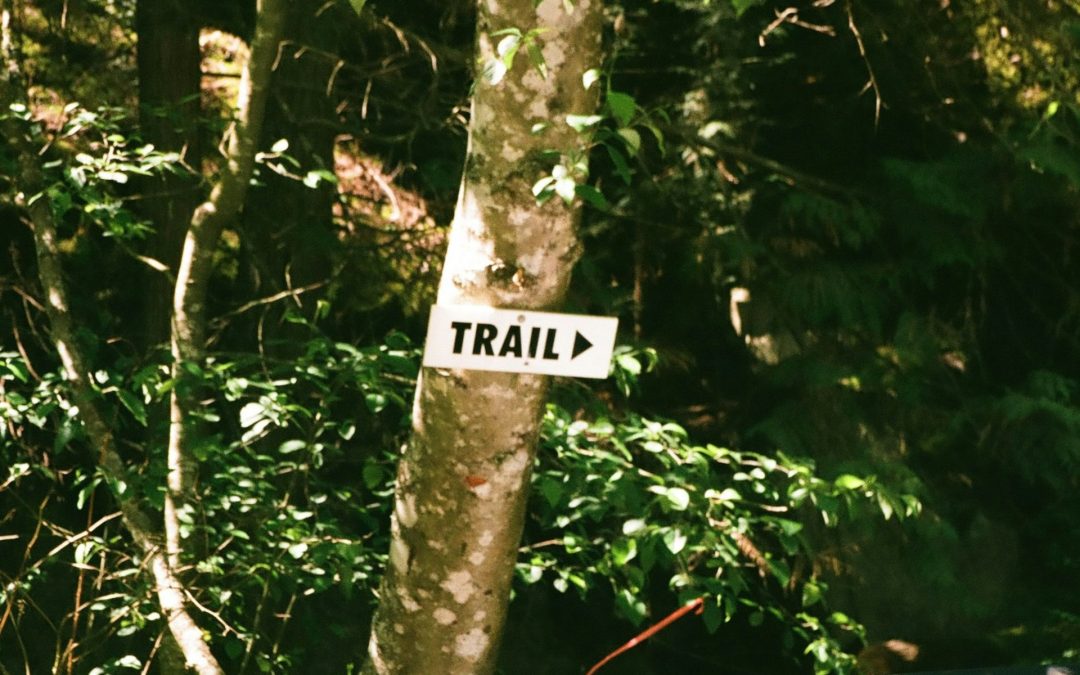 Trail Safety and Packing Tips for Exploring the Beautiful Trails of Venice, Florida With Confidence