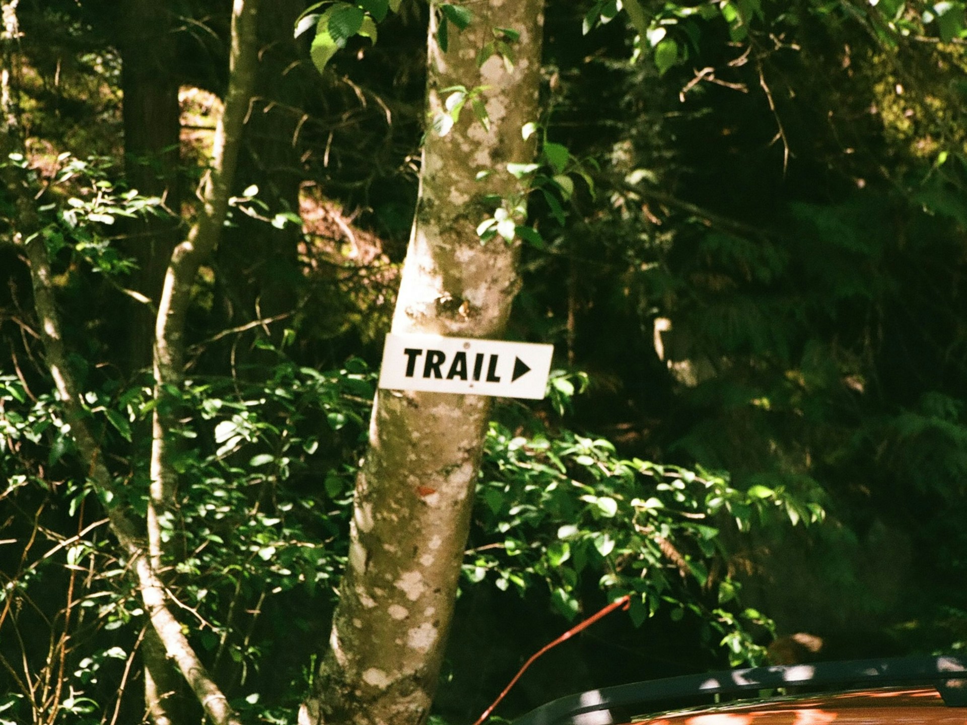 Trail Safety and Packing Tips for Exploring the Beautiful Trails of Venice Florida with Confidence