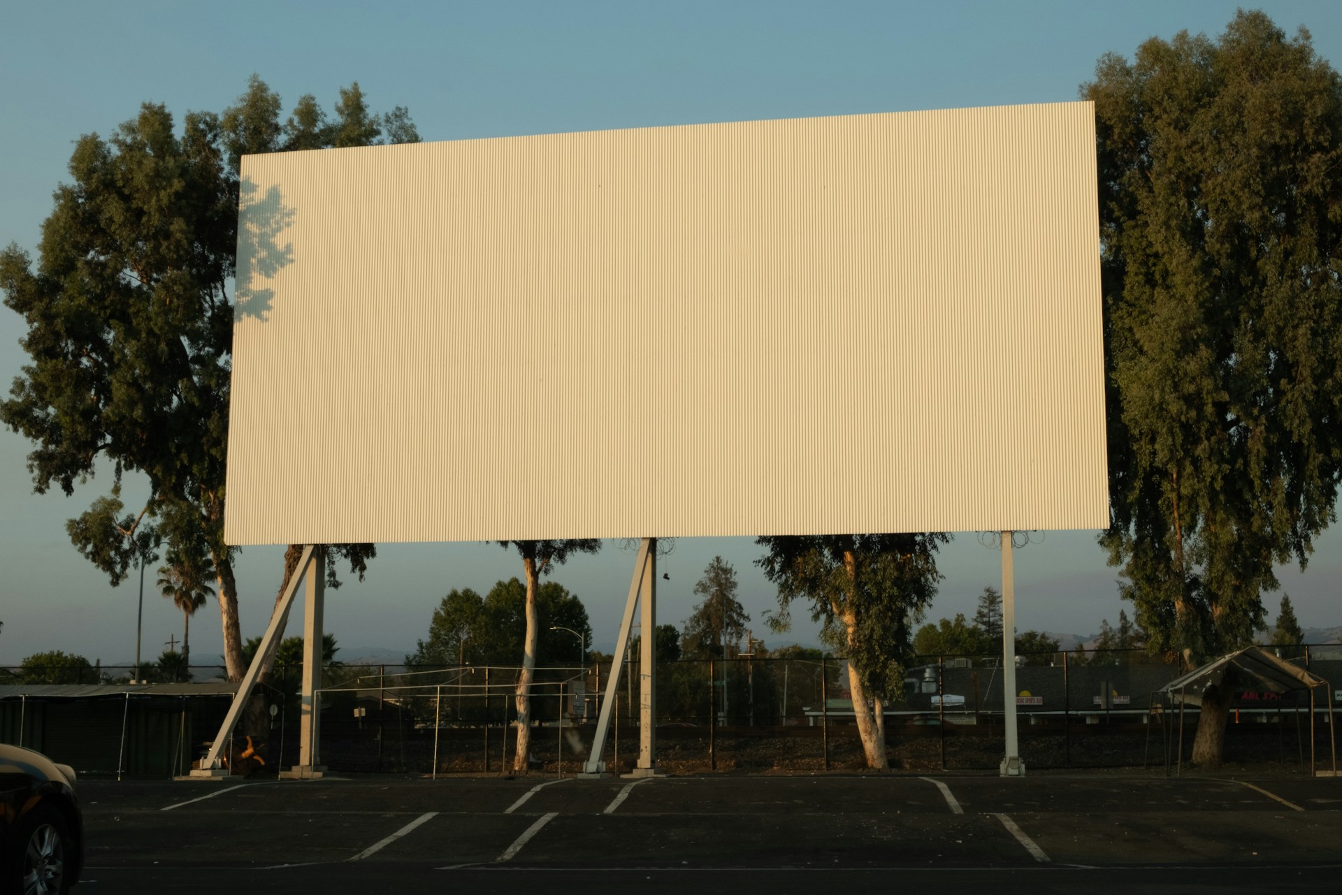Experience the Magic of Outdoor Movie Nights in Venice Florida With Local Flavor and Community Vibes